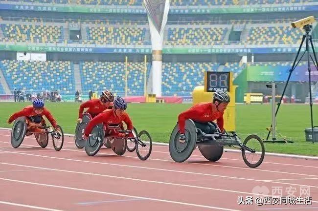 2025新澳门跟香港天天免费大全全面释义、专家解析解释与落实