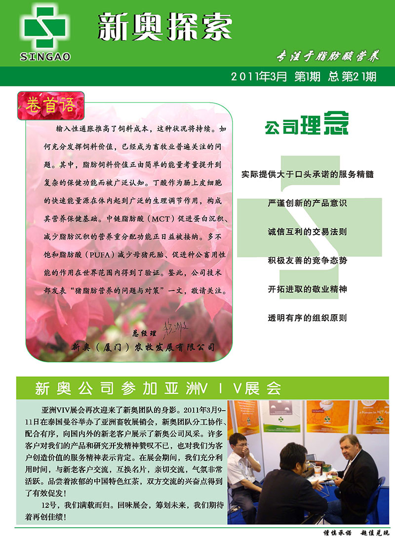 2025新澳正版今晚资料,专家解读释义、解释与落实与警惕虚假宣传