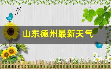 德州最新天气预报，掌握天气变化，规划生活出行