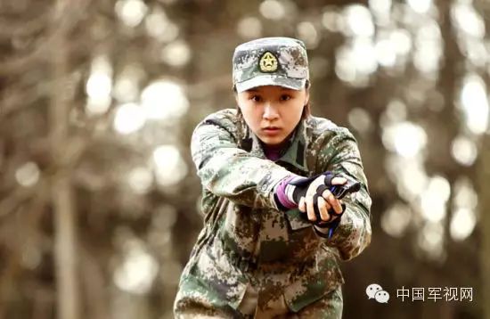 最新女特种兵电视剧，巾帼不让须眉的热血篇章